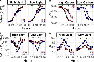 Diel Transcriptional Oscillations of a Plastid Antiporter Reflect Increased Resilience of Thalassiosira pseudonana in Elevated CO2